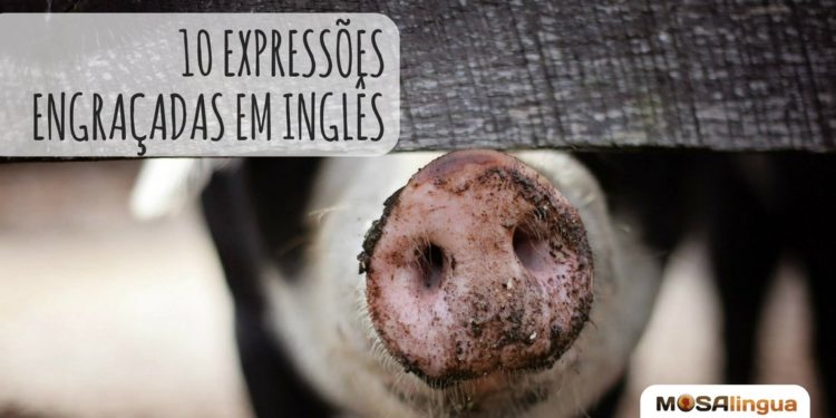 Expressões Brasileiras em Inglês: Traduções